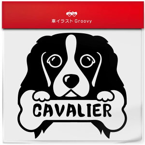 LoA  XebJ[ 햼   Gu V[ fJ[ ANZT[ uh AEghA ObY G   