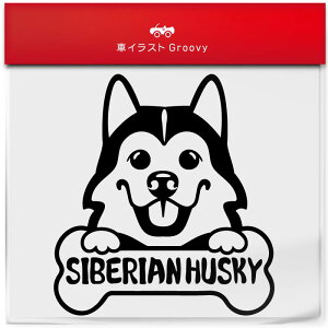 VxA nXL[  XebJ[ 햼   Gu V[ fJ[ ANZT[ uh AEghA ObY G   