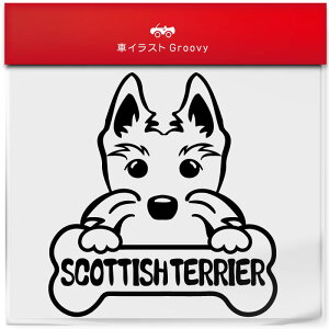 XReBbVeA  XebJ[ 햼   Gu V[ fJ[ ANZT[ uh AEghA ObY G   