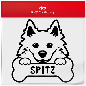 Xsbc  XebJ[ 햼   Gu V[ fJ[ ANZT[ uh AEghA ObY G   