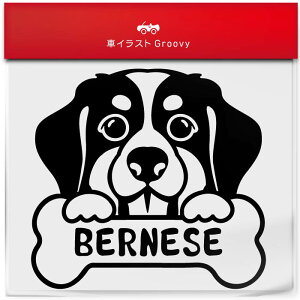 o[j[Y }Ee  XebJ[ 햼   Gu V[ fJ[ ANZT[ uh AEghA ObY G   