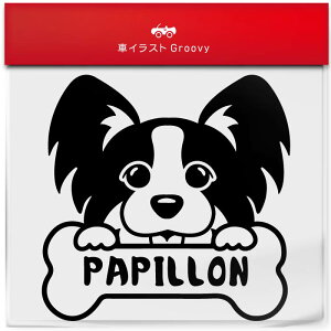 ps  XebJ[ 햼   Gu V[ fJ[ ANZT[ uh AEghA ObY G   