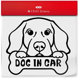 nKA rY  XebJ[ Ă܂ DOG IN CAR  Gu V[ fJ[ ANZT[ uh AEghA ObY G   