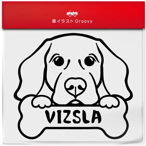 nKA rY  XebJ[ 햼   Gu V[ fJ[ ANZT[ uh AEghA ObY G   