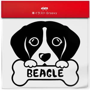 r[O  XebJ[ 햼   Gu V[ fJ[ ANZT[ uh AEghA ObY G   