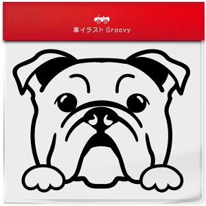 uhbO  XebJ[  ̂ ` ` 킢   ԗp Gu V[ fJ[ ANZT[ uh AEghA ObY G   