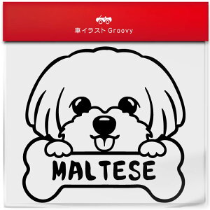 }`[Y  XebJ[ 햼   Gu V[ fJ[ ANZT[ uh AEghA ObY G   