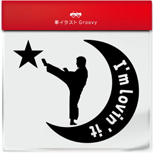 空手 道場 全日本 連盟 大会 武道 ステッカー シール 月 星 スポーツ 運動 部活 クラブ グッズ 雑貨 アイテム 車 自動車 エンブレム 防水 デカール アクセサリー ブランド アウトドア おもしろ