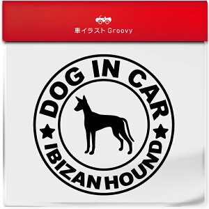 CrUnEh CrU Ck  hbO C J[ XebJ[ V[ Vv  Ă܂ dog in car   S  AEghA  킢  ~[ KX {fB O