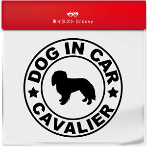 LoA ΂肠 Ck  hbO C J[ XebJ[ V[ Vv  Ă܂ dog in car   S  AEghA  킢  ~[ KX {fB Ob