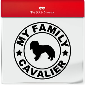 LoA ΂肠 Ck  }C t@~[ Ƒ XebJ[ V[ Vv  Ă܂ my family   S  AEghA  킢  ~[ KX {fB 