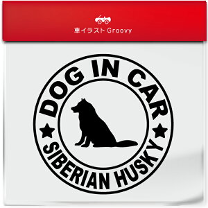 VxA nXL[ ͂[ Ck  hbO C J[ XebJ[ V[ Vv  Ă܂ dog in car   S  AEghA  킢  ~[ KX {f