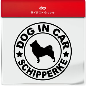 XLbp[L ρ[ Ck  hbO C J[ XebJ[ V[ Vv  Ă܂ dog in car   S  AEghA  킢  ~[ KX {fB 