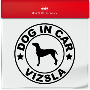 nKA rY Ck  hbO C J[ XebJ[ V[ Vv  Ă܂ dog in car   S  AEghA  킢  ~[ KX {fB ObY