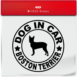 {XgeA ڂƂĂ肠 Ck  hbO C J[ XebJ[ V[ Vv  Ă܂ dog in car   S  AEghA  킢  ~[ KX {