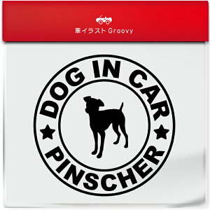 ~j`A sV[ Ck  hbO C J[ XebJ[ V[ Vv  Ă܂ dog in car   S  AEghA  킢  ~[ KX {fB Ob