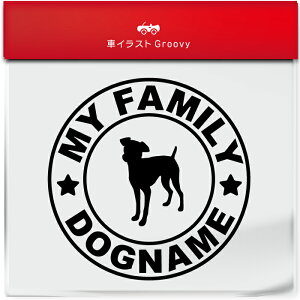 ~j`A sV[ Ck   IWi JX^ XebJ[ V[ Vv  Ă܂   S  AEghA  킢  ~[ KX {fB 