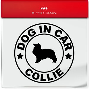 R[ tR[ [ Ck  hbO C J[ XebJ[ V[ Vv  Ă܂ dog in car   S  AEghA  킢  ~[ KX {fB 