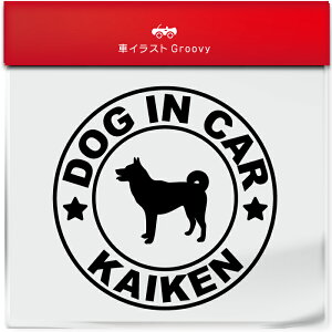 b㌢ JC  Ck  hbO C J[ XebJ[ V[ Vv  Ă܂ dog in car   S  AEghA  킢  ~[ KX {fB ObY A