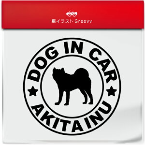 Hc  Ck  hbO C J[ XebJ[ V[ Vv  Ă܂ dog in car   S  AEghA  킢  ~[ KX {fB ObY 