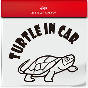 킢  XebJ[ J[XebJ[ h V[ T  J jzCVK ybg ঒ Aj} ObY G xr[J[ Ԃ q Ă܂  Vv uh D