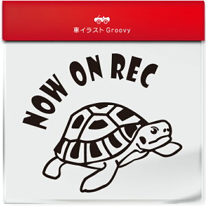 ���킢�� �� �X�e�b�J�[ �J�[�X�e�b�J�[ �h�� �V�[�� �h�����R �h���C�u���R�[�_�[ �^�撆 �T ���� �J�� �w���}�����N�K�� �y�b�g ঒��� �A�j�}�� �O�b�Y �G�� �B�e�� �x�r�[�J�[ ������� 