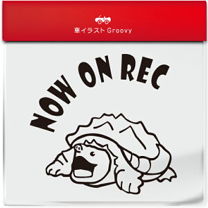 킢  XebJ[ J[XebJ[ h V[ hR hCuR[_[ ^撆 T  J jK ybg ঒ Aj} ObY G Be xr[J[  Vv 