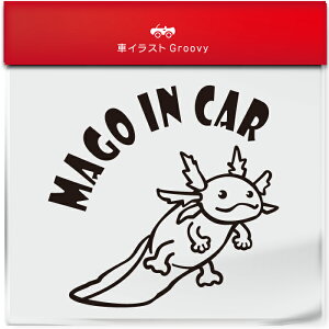 킢  XebJ[ J[XebJ[ h V[  Ԃ q  Ă܂ }SCJ[ E[p[[p[ LVRTVEEI ybg  Aj} ObY G xr[J