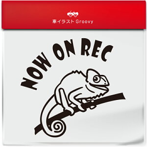 킢  XebJ[ J[XebJ[ h V[ hR hCuR[_[ ^撆 JI ߂ꂨ gJQ Ƃ ybg ঒ Aj} ObY G Be xr[J[ 