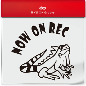 킢  XebJ[ J[XebJ[ h V[ hR hCuR[_[ ^撆 Ƃ gJQ O[ COAi ybg ঒ Aj} ObY G Be xr[J[ 