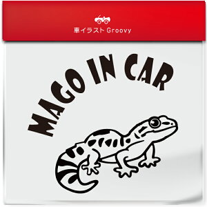 킢  XebJ[ J[XebJ[ h V[  Ԃ q  Ă܂ }SCJ[ qEgJQhL Ip QbR[ ybg ঒ Aj} ObY G xr[J