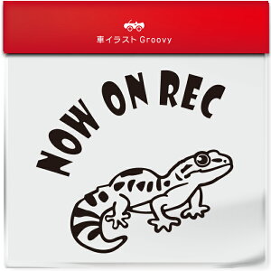 킢  XebJ[ J[XebJ[ h V[ hR hCuR[_[ ^撆 qEgJQhL Ip QbR[ ybg ঒ Aj} ObY G Be xr[J[ 