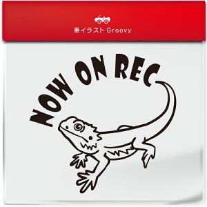 킢  XebJ[ J[XebJ[ h V[ hR hCuR[_[ ^撆 Ƃ gJQ tgASqQgJQ ybg ঒ Aj} ObY G Be xr[J[ 