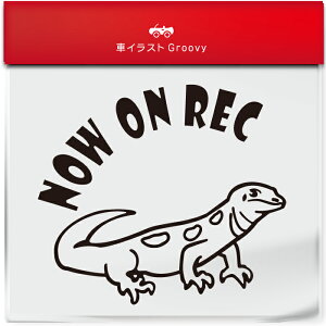 킢  XebJ[ J[XebJ[ h V[ hR hCuR[_[ ^撆 Ƃ gJQ  ~YIIgJQ ybg ঒ Aj} ObY G Be xr[J[ 