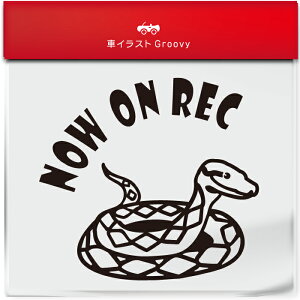 킢  XebJ[ J[XebJ[ h V[ hR hCuR[_[ ^撆  ւ wr A~ jVLwr ybg ঒ Aj} ObY G Be xr[J[  