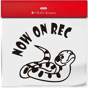 킢  XebJ[ J[XebJ[ h V[ hR hCuR[_[ ^撆  ւ wr ZCuVVoiwr ybg ঒ Aj} ObY G Be xr[J[ 