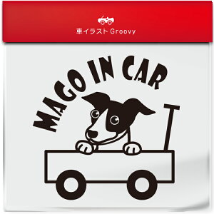 킢  XebJ[ J[XebJ[ h V[  Ԃ q  Ă܂ }SCJ[  C^AO[nEh C^O  ybg  Ck Aj} ObY G xr