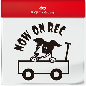 킢  XebJ[ J[XebJ[ h V[ hR hCuR[_[ ^撆  C^AO[nEh C^O  ybg  Ck Aj} ObY G Be xr