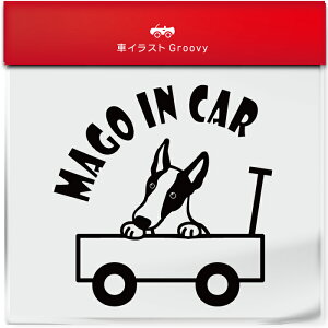 킢  XebJ[ J[XebJ[ h V[  Ԃ q  Ă܂ }SCJ[  CrUnEh  ybg  Ck Aj} ObY G xr[J[  