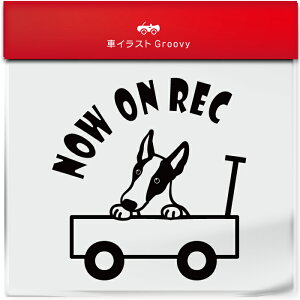 킢  XebJ[ J[XebJ[ h V[ hR hCuR[_[ ^撆  CrUnEh  ybg  Ck Aj} ObY G Be xr[J[  V