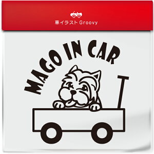 킢  XebJ[ J[XebJ[ h V[  Ԃ q  Ă܂ }SCJ[  EGXgnChzCgeA EGXeB  ybg  Ck Aj} Ob