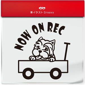 킢  XebJ[ J[XebJ[ h V[ hR hCuR[_[ ^撆  EGXgnChzCgeA EGXeB  ybg  Ck Aj} ObY G B