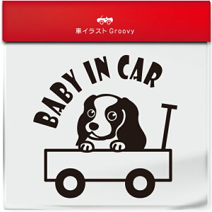 킢  XebJ[ J[XebJ[ h V[ xr[CJ[  LoA  ybg  Ck Aj} ObY G xr[J[ Ԃ  Ă܂  V