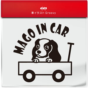 킢  XebJ[ J[XebJ[ h V[  Ԃ q  Ă܂ }SCJ[  LoA  ybg  Ck Aj} ObY G xr[J[  Vv