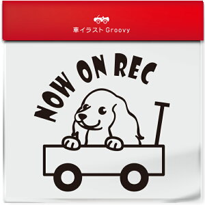 킢  XebJ[ J[XebJ[ h V[ hR hCuR[_[ ^撆  RbJ[XpjG  ybg  Ck Aj} ObY G Be xr[J[  