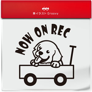 킢  XebJ[ J[XebJ[ h V[ hR hCuR[_[ ^撆  S[fgo[ g[o[  ybg  Ck Aj} ObY G Be xr