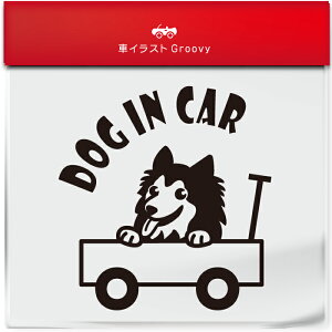 킢  XebJ[ J[XebJ[ h V[  VFbghV[vhbO VFeB  ybg  Ck Aj} ObY G xr[J[ Ԃ q Ă܂ 