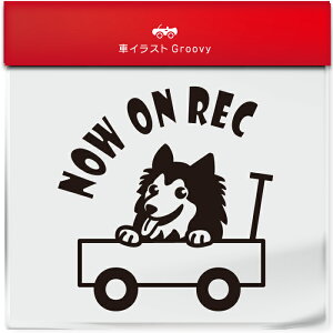 킢  XebJ[ J[XebJ[ h V[ hR hCuR[_[ ^撆  VFbghV[vhbO VFeB  ybg  Ck Aj} ObY G Be 