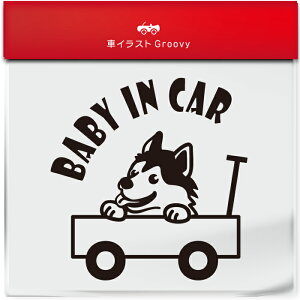 킢  XebJ[ J[XebJ[ h V[ xr[CJ[  VxA nXL[  ybg  Ck Aj} ObY G xr[J[ Ԃ  Ă܂ 