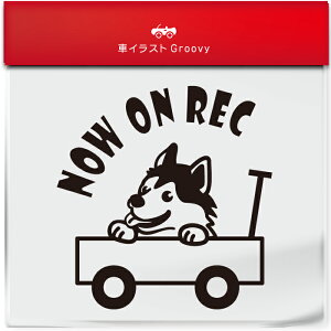 킢  XebJ[ J[XebJ[ h V[ hR hCuR[_[ ^撆  VxA nXL[  ybg  Ck Aj} ObY G Be xr[J[  